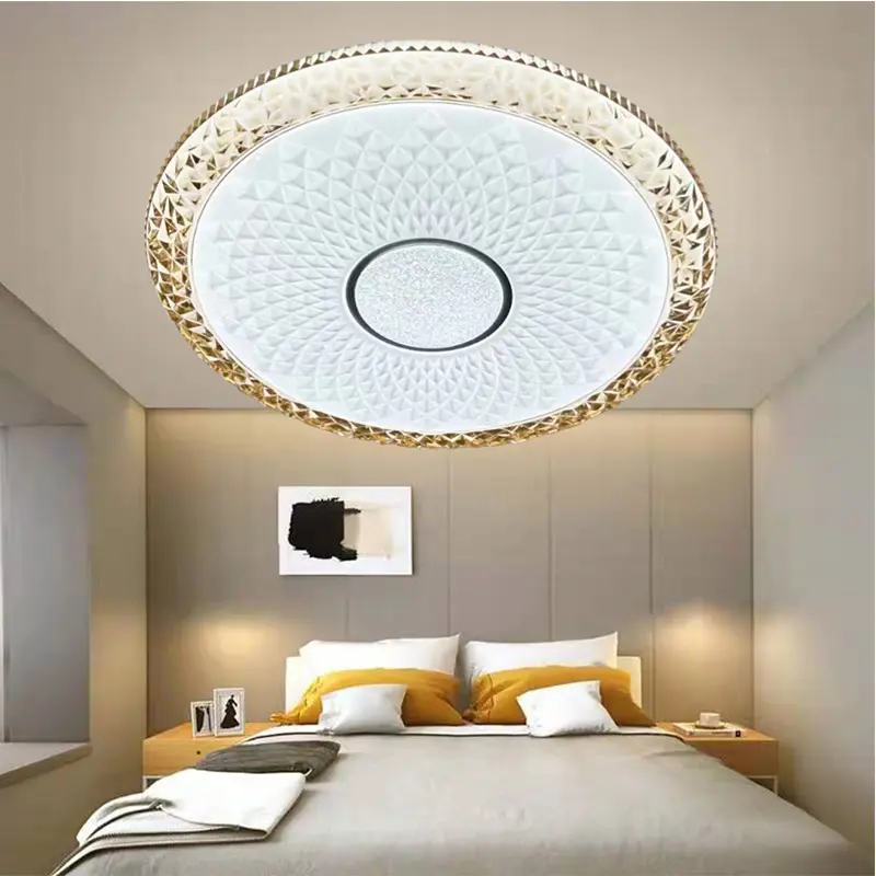 ceiling light (5).jpg