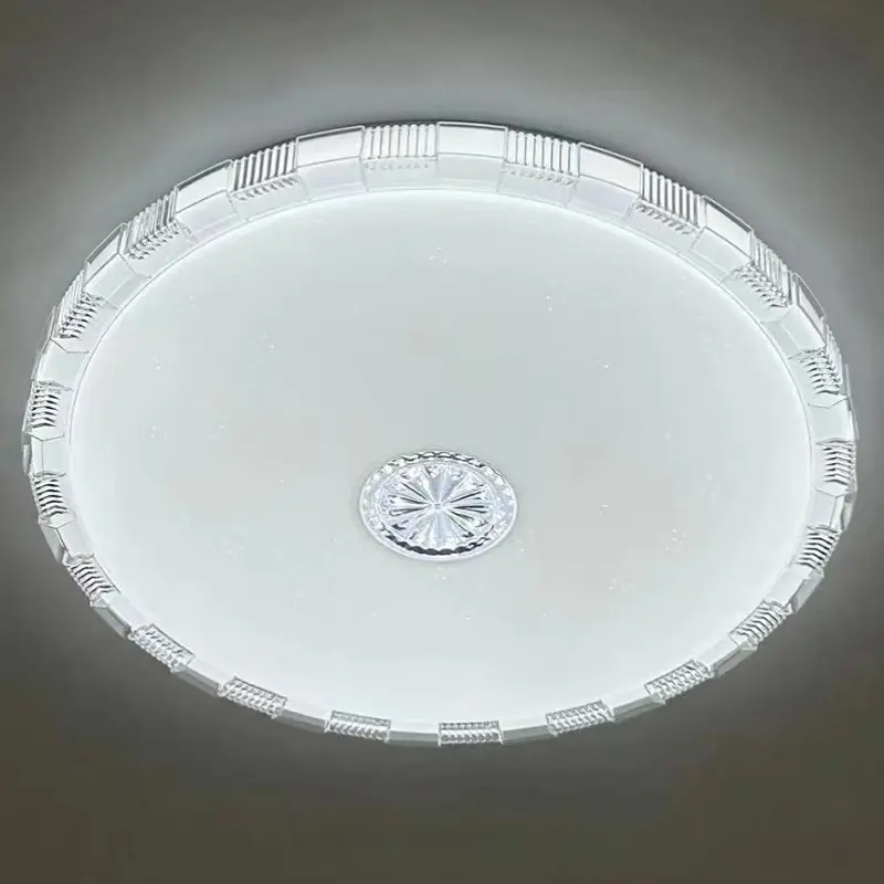 ceiling light (2)