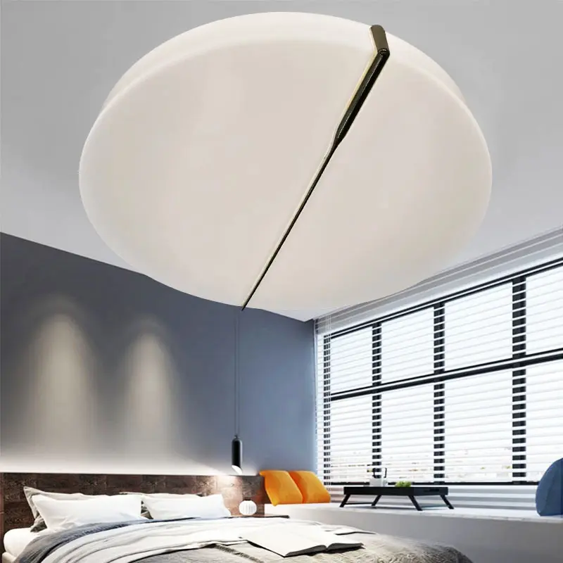 fashion ceiling light (1)