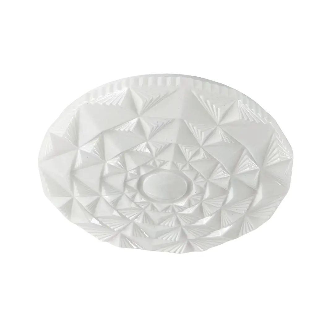 fashion ceiling light (4)