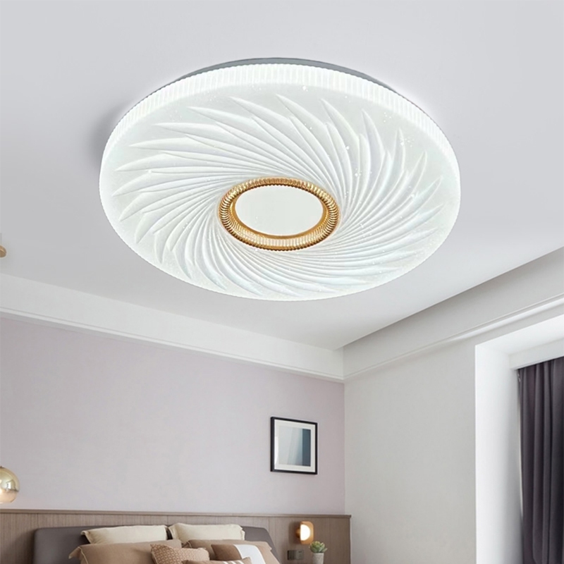 Ceiling light5 (4).jpg