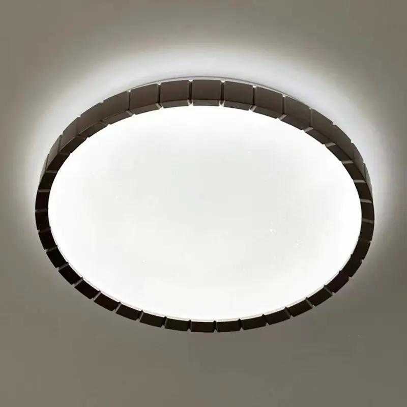 ceiling lamp (6)