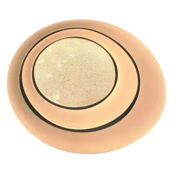 Special Shine Design Oval LED Ceiling Lights YW-CLB032 Living Room Use