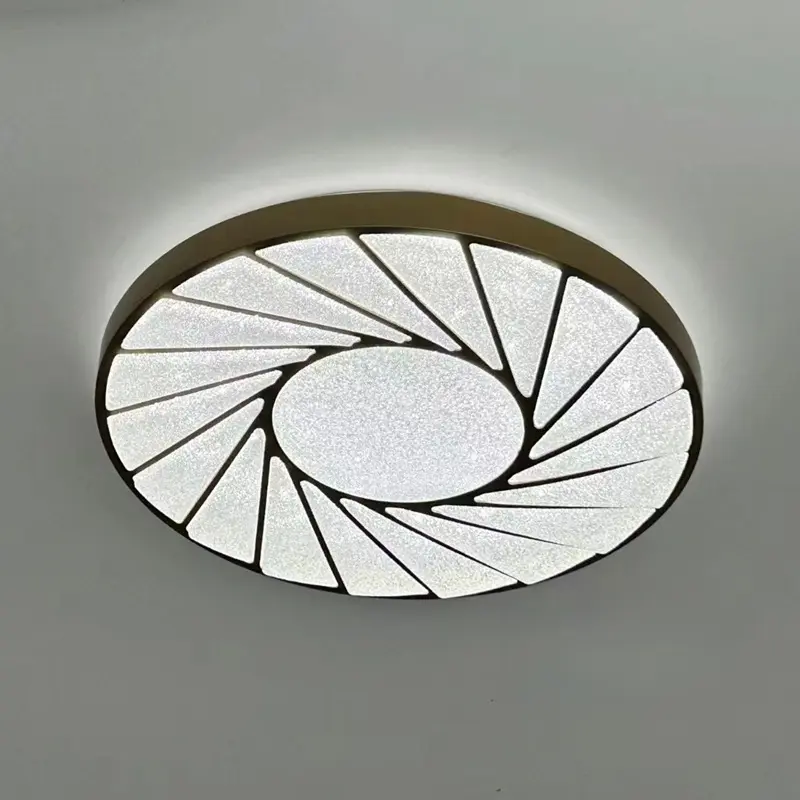 ceiling lamp (4)