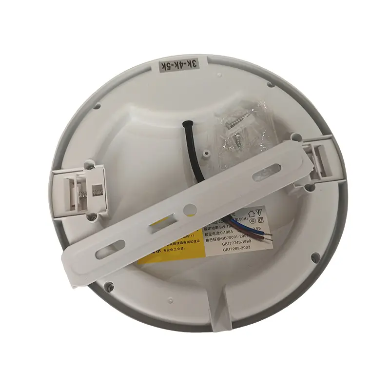 ceiling light (4).jpg