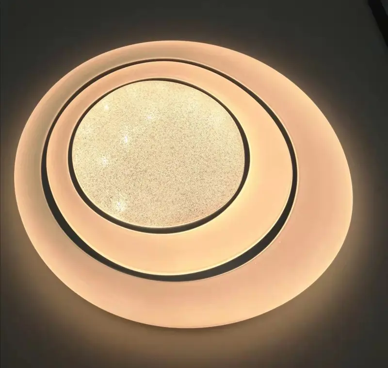 Special Shine Design Oval LED Ceiling Lights YW-CLB032 Living Room Use4
