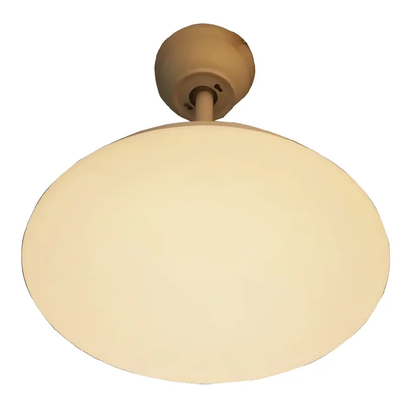 ceiling light.jpg