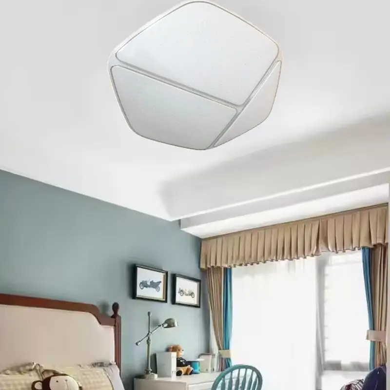 Ceiling Fixture (2) main2.jpg