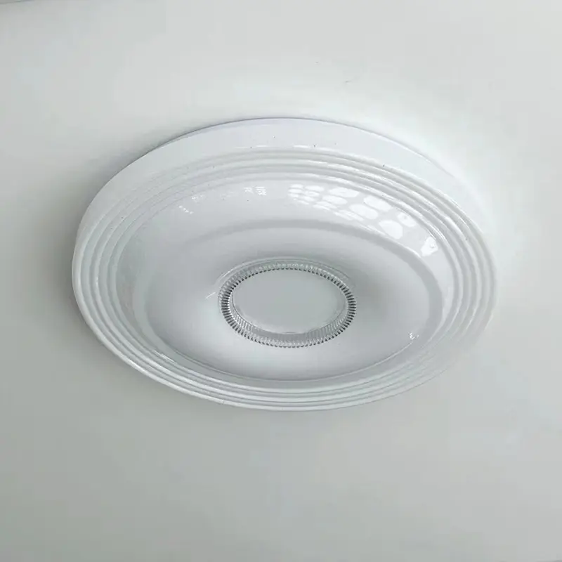 Ceiling Lights (6).jpg