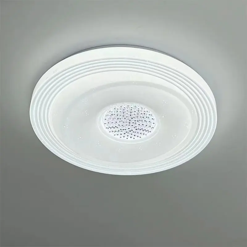 Ceiling Lights (3).jpg
