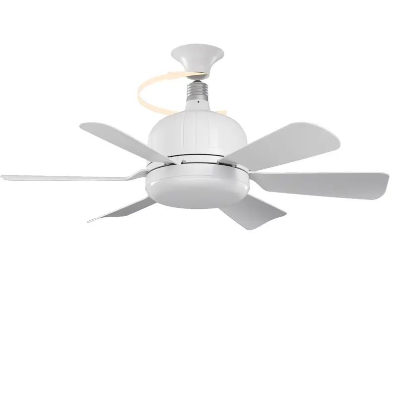 fashion ceiling light (1)