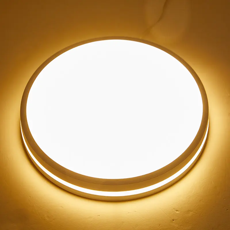 ceiling light (2).jpg