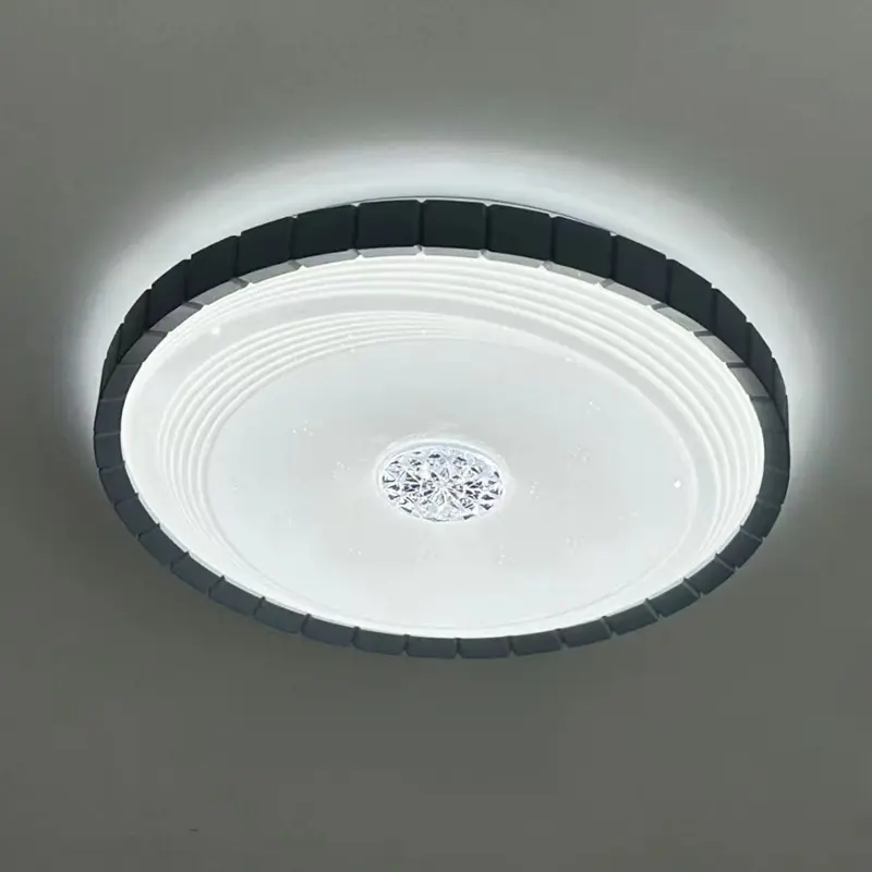 ceiling lamp (6)
