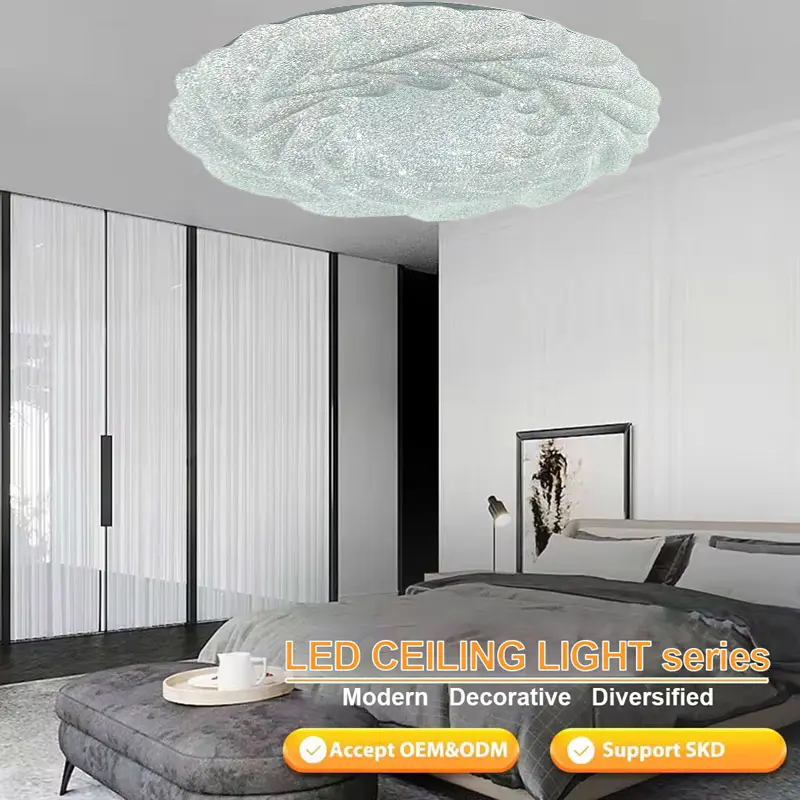 Ceiling lamp (5)