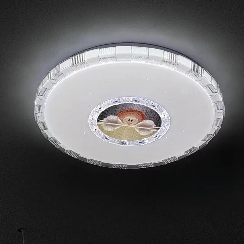 ceiling lamp (4)