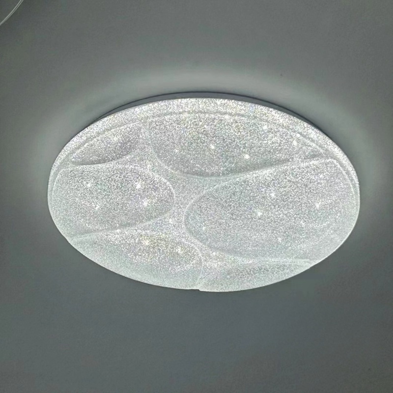 ceiling lamp (6)