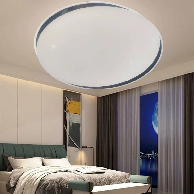 ceiling light4.jpg