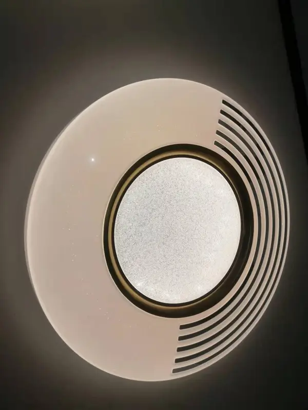 ceiling light3.jpg