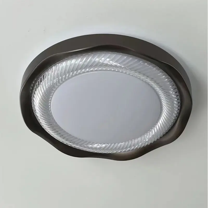 ceiling light (5).jpg