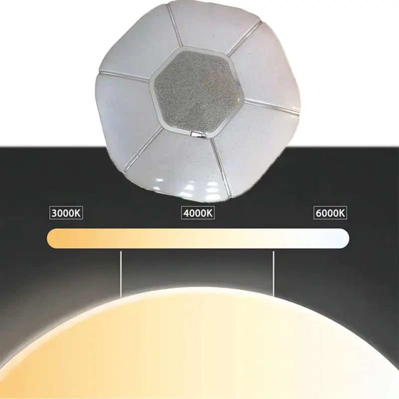 Ceiling Light (4).jpg