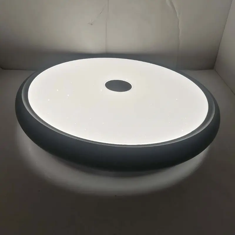 Round Ceiling Light with Multi-Control Options YW-CLC076