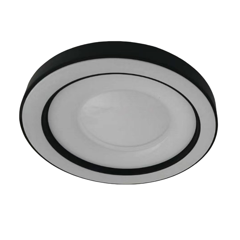 Universal Design Round Ceiling Light with Custom Service YW-CLC080