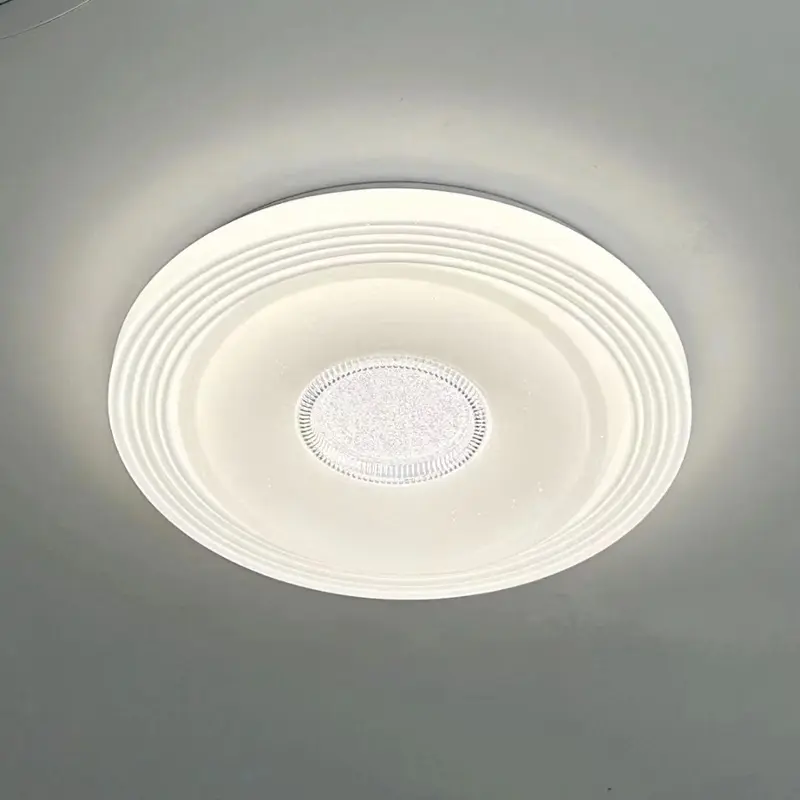 ceiling lamp (6)
