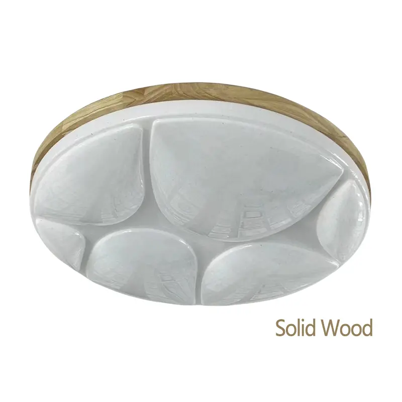 ceiling fixture (1)主图一