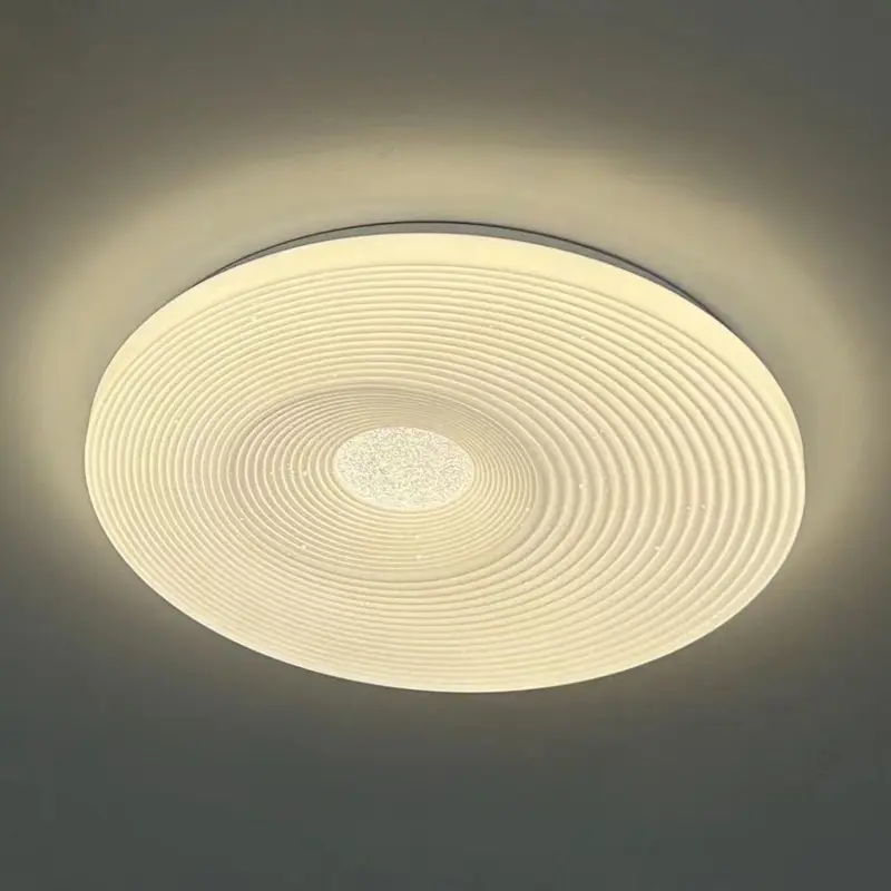 ceiling lamp (6)