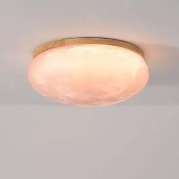 Elegant Style House Decoration LED Ceiling Lights YW-CLB058