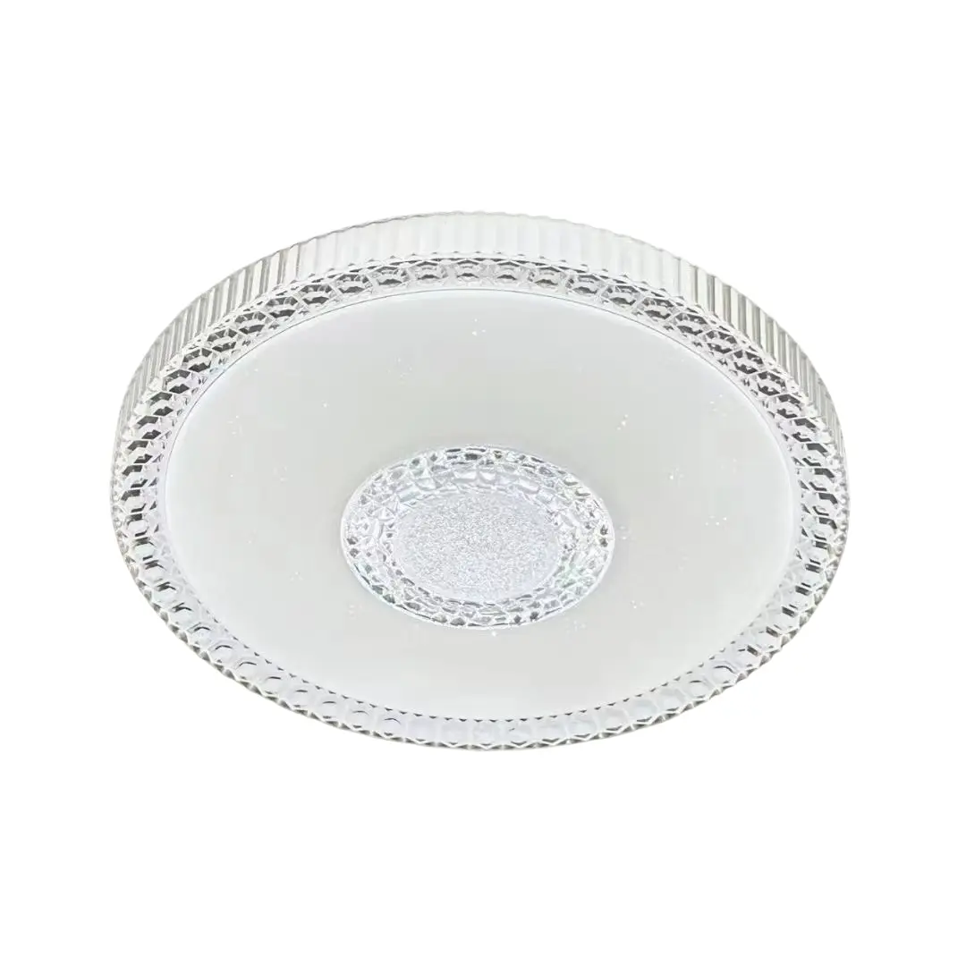 fashion ceiling light (4)