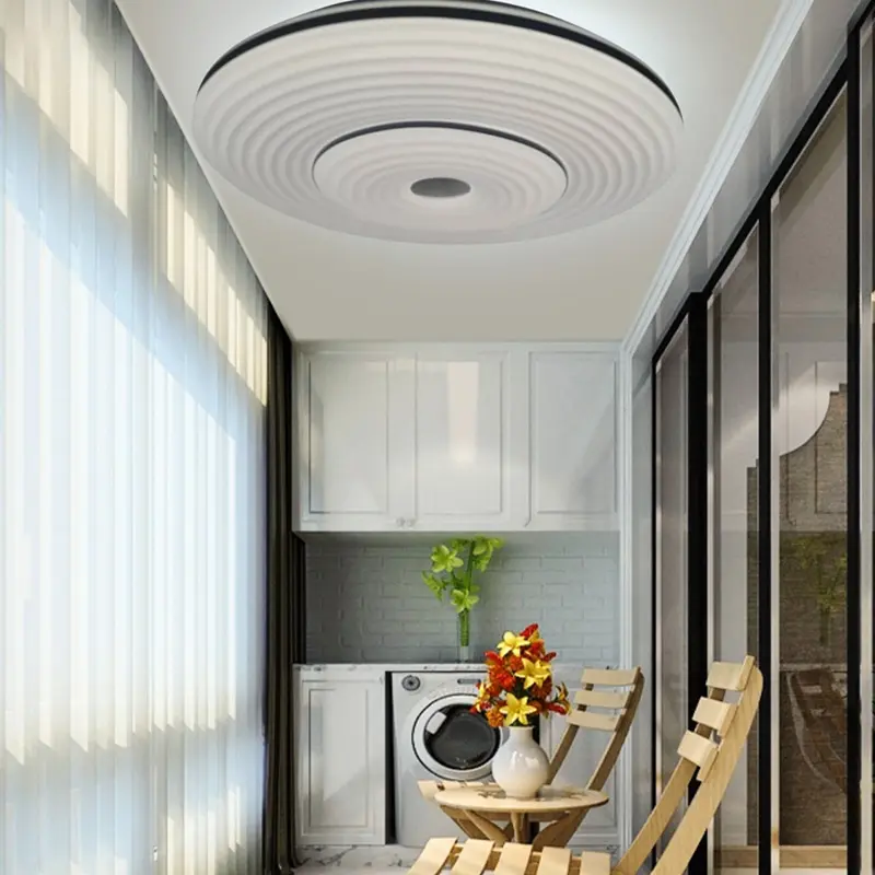 ceiling lamp (5).jpg