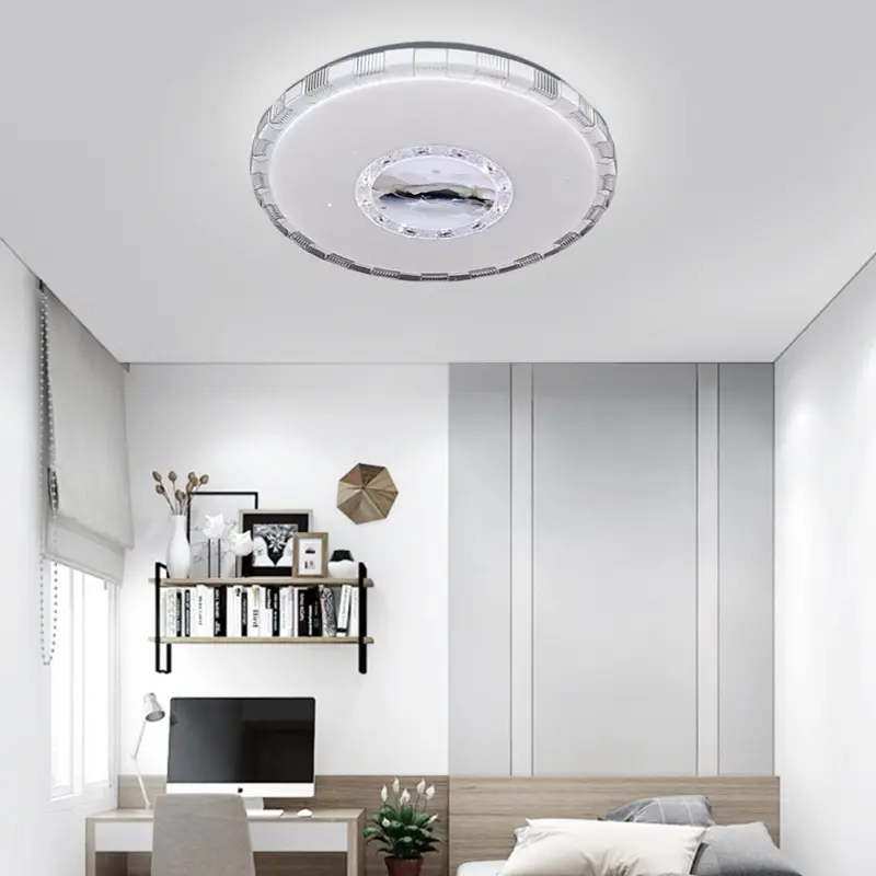 ceiling lamp (6)