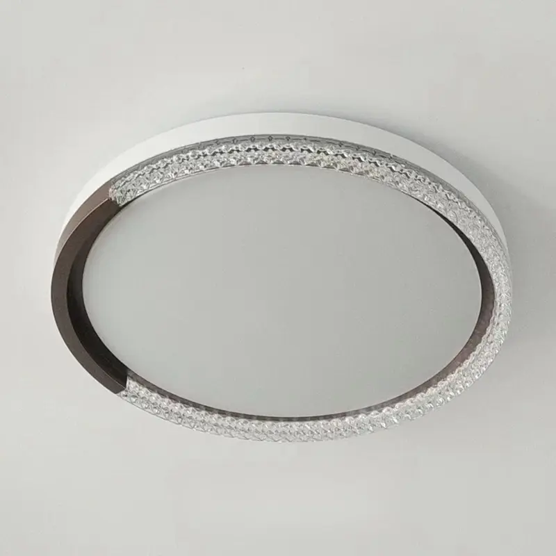 ceiling lamp (6)