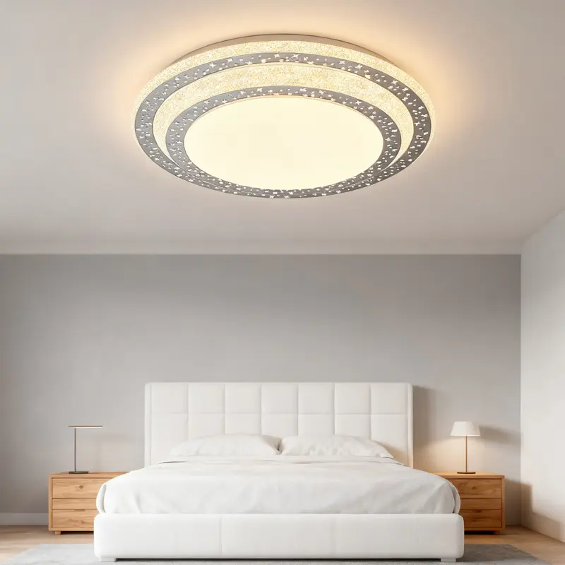 ceiling light (2).jpg