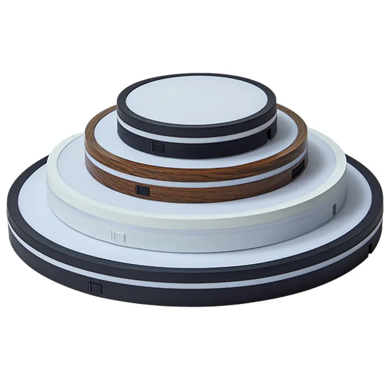 ceiling light (3).jpg