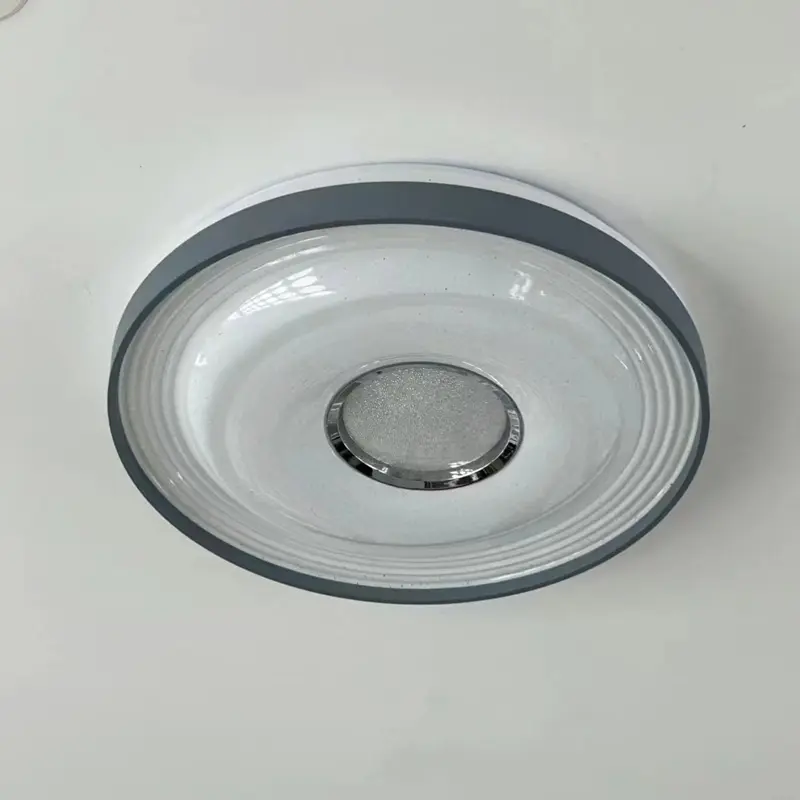 Ceiling light1.jpg