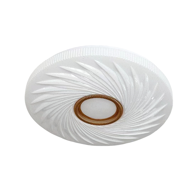 Ceiling light5 (1).jpg