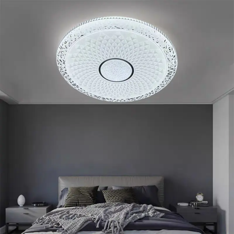 ceiling light (4).jpg