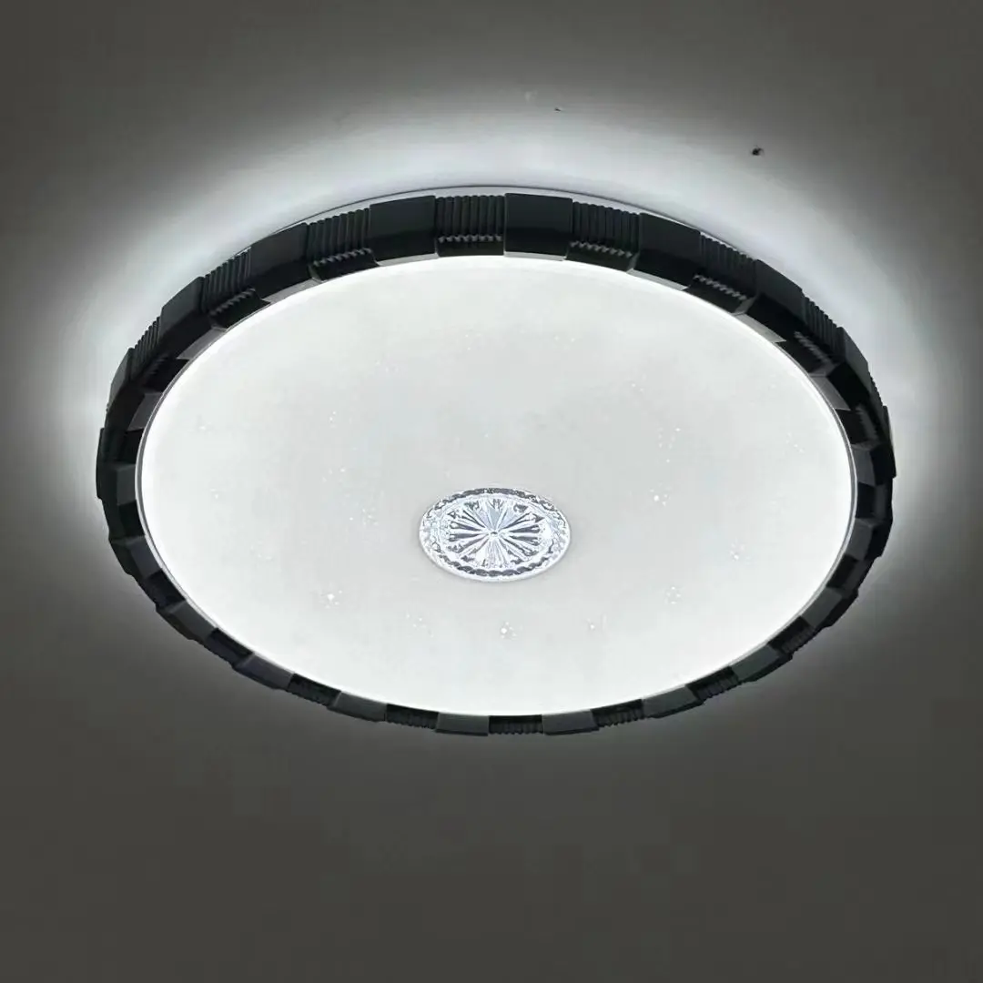 ceiling light (4)