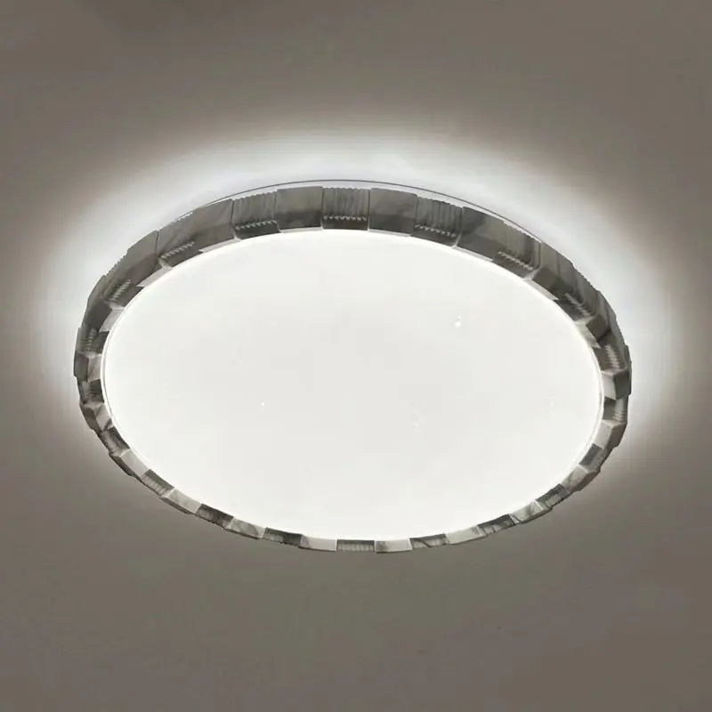 Ceiling light (2).jpg