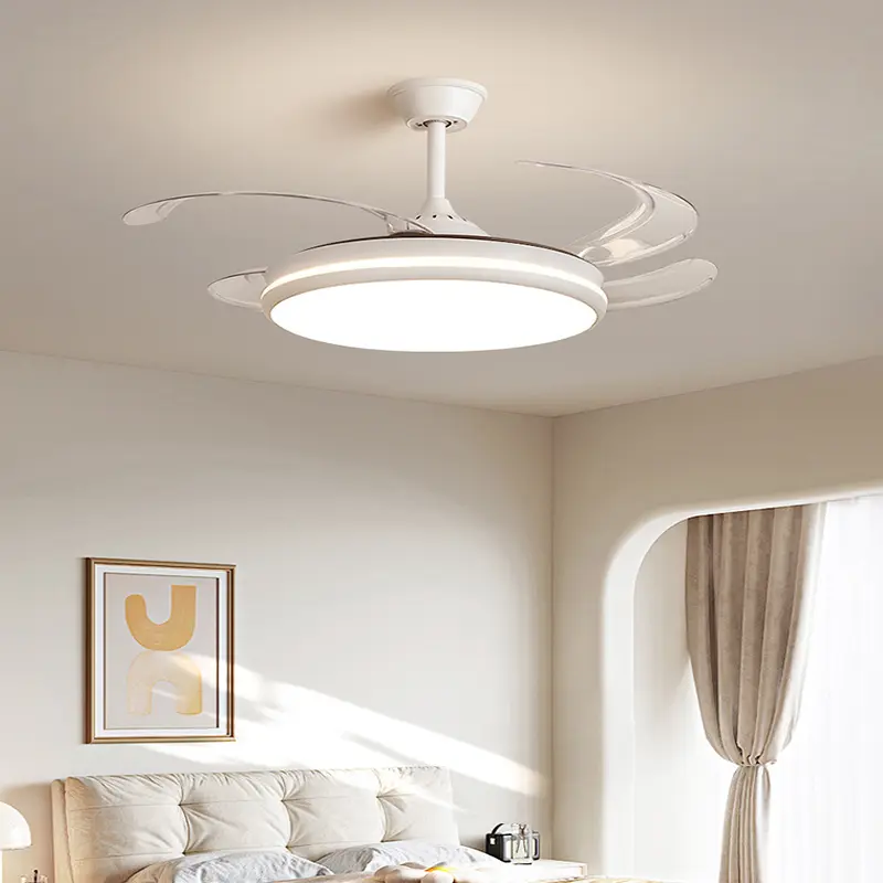 fan light (4).jpg