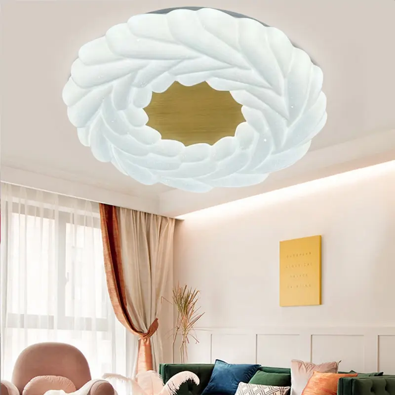 ceiling fixture (5).jpg