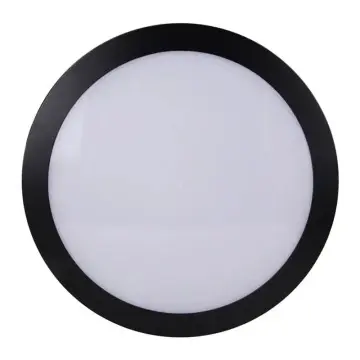 High Waterproof Black Color Atmosphere LED Ceiling Light YW-FWCL