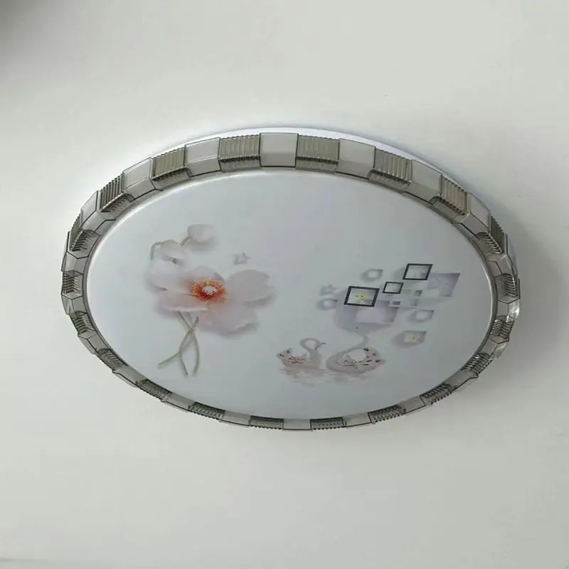Ceiling Light (1)